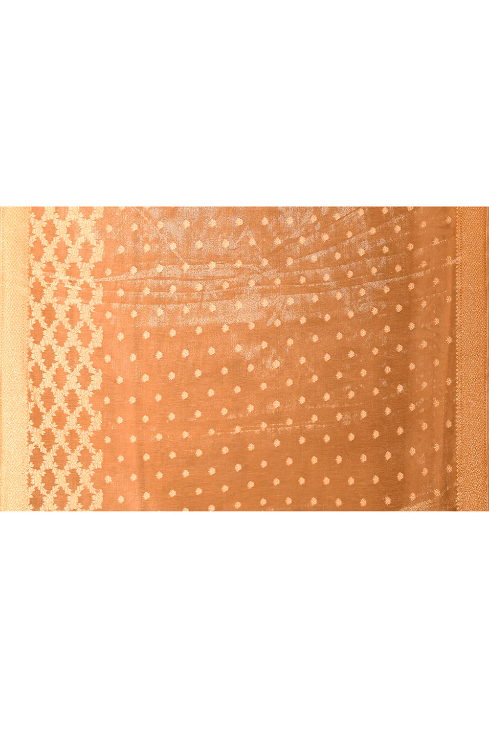 Tussar Beige Gold Banarasi Tissue Handloom Saree Tussar Beige Gold Banarasi Tissue Handloom Saree