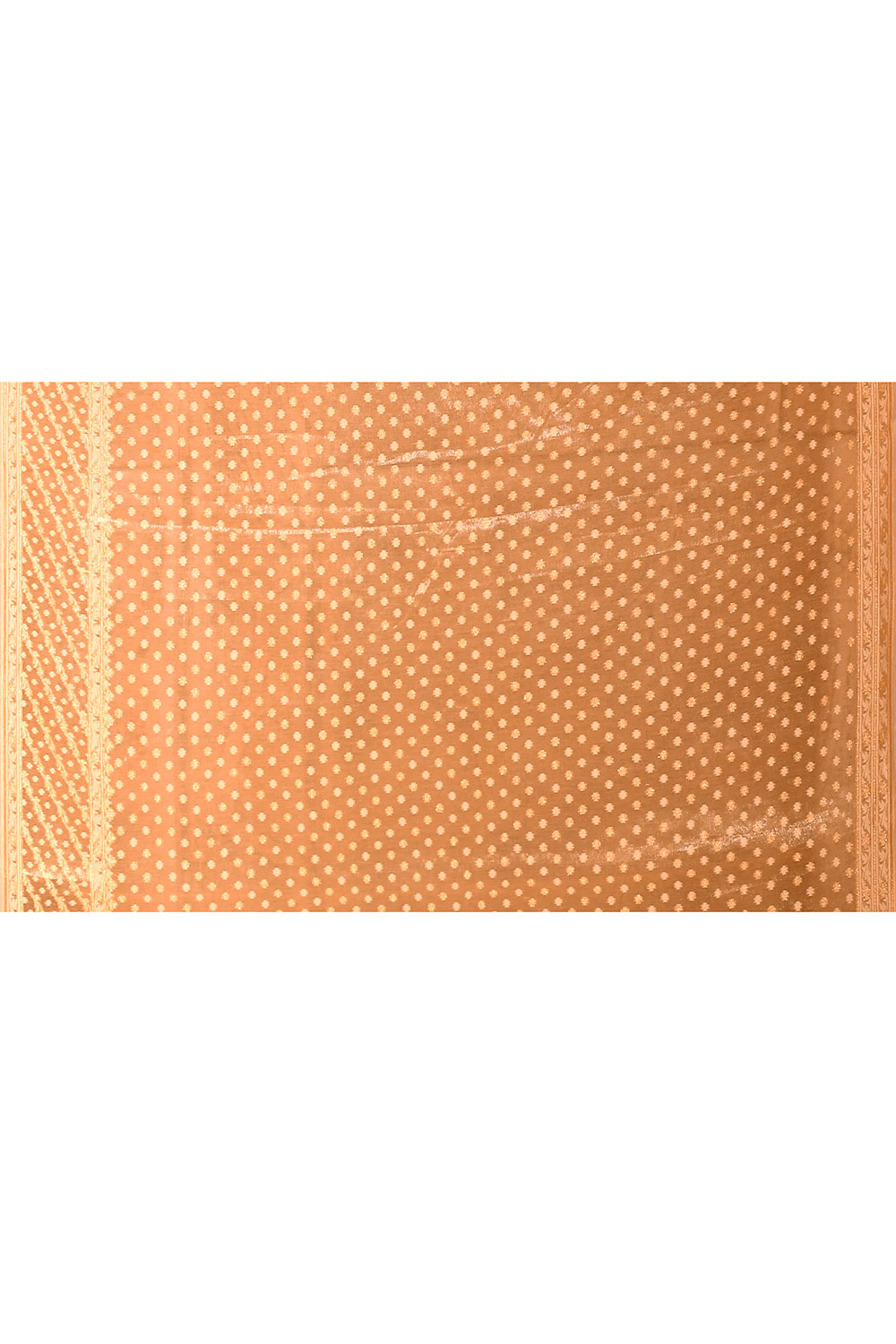 Tussar Beige Gold Banarasi Tissue Handloom Saree Tussar Beige Gold Banarasi Tissue Handloom Saree