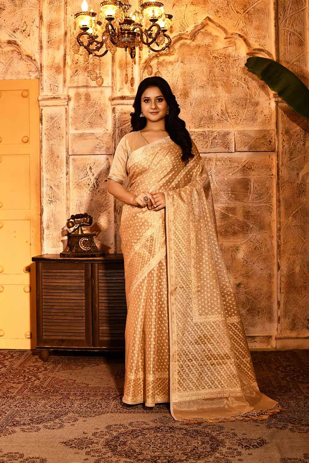 Tussar Beige Gold Banarasi Tissue Handloom Saree Tussar Beige Gold Banarasi Tissue Handloom Saree