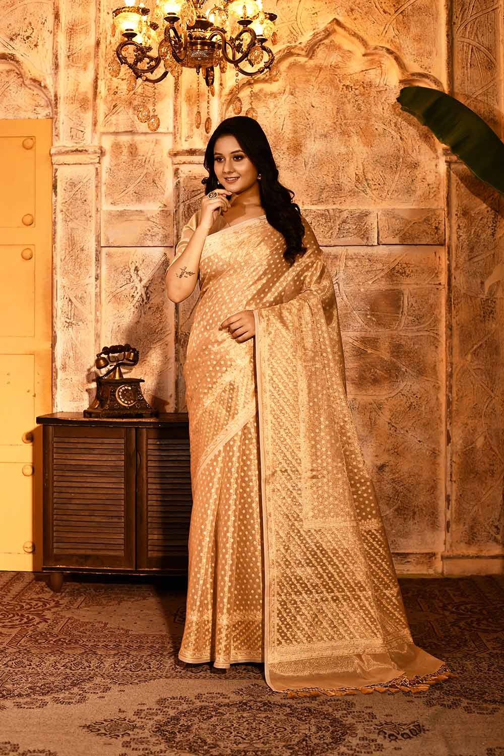 Tussar Beige Gold Banarasi Tissue Handloom Saree Tussar Beige Gold Banarasi Tissue Handloom Saree