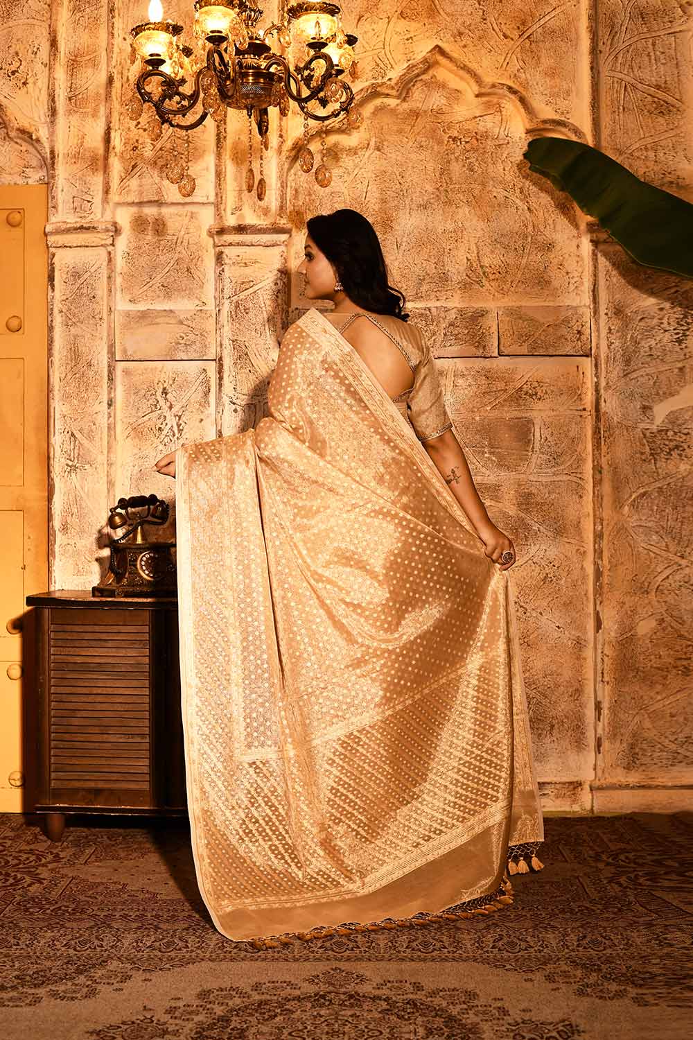 Tussar Beige Gold Banarasi Tissue Handloom Saree Tussar Beige Gold Banarasi Tissue Handloom Saree