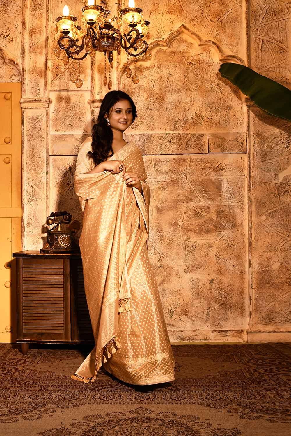 Tussar Beige Gold Banarasi Tissue Handloom Saree Tussar Beige Gold Banarasi Tissue Handloom Saree