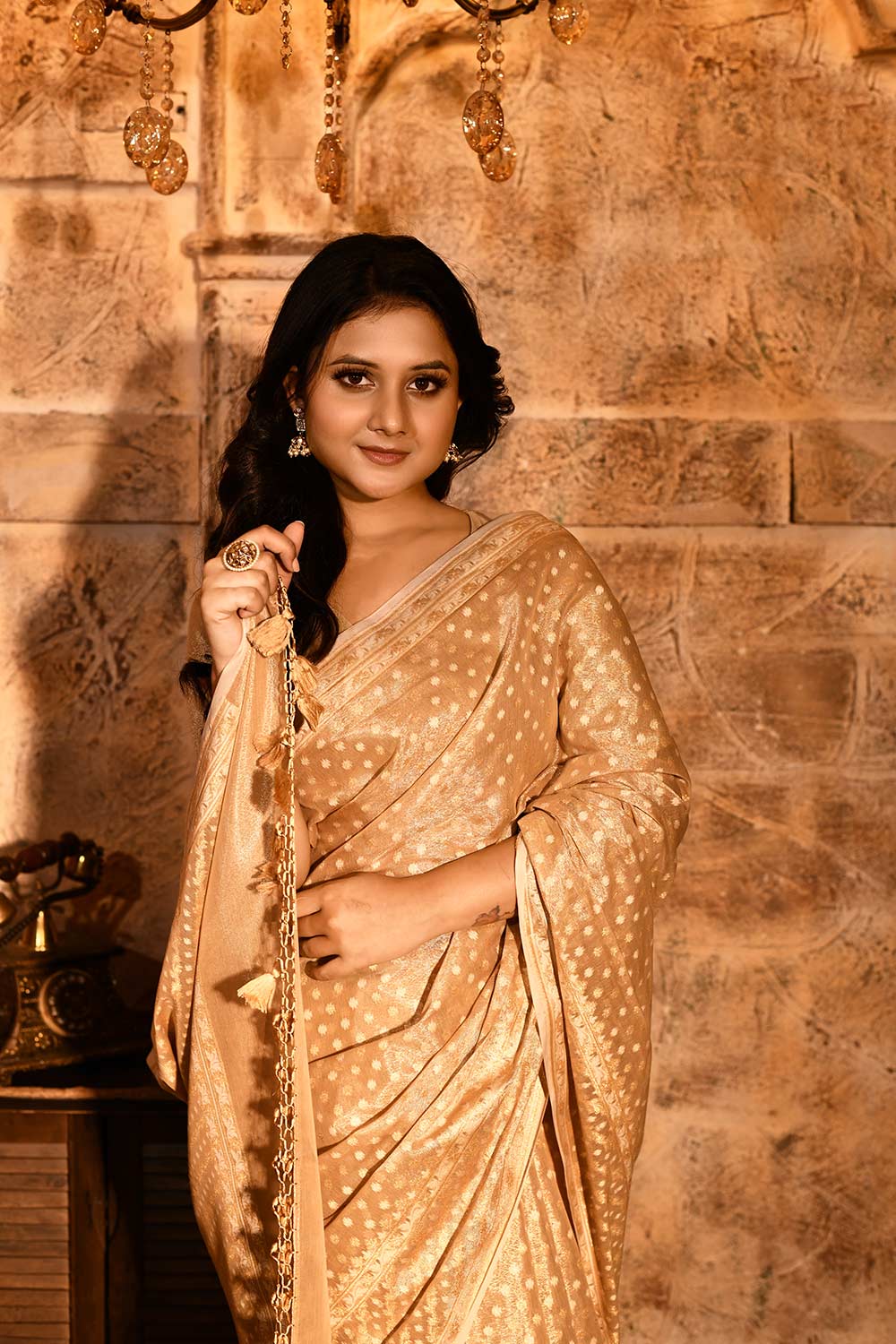 Tussar Beige Gold Banarasi Tissue Handloom Saree Tussar Beige Gold Banarasi Tissue Handloom Saree