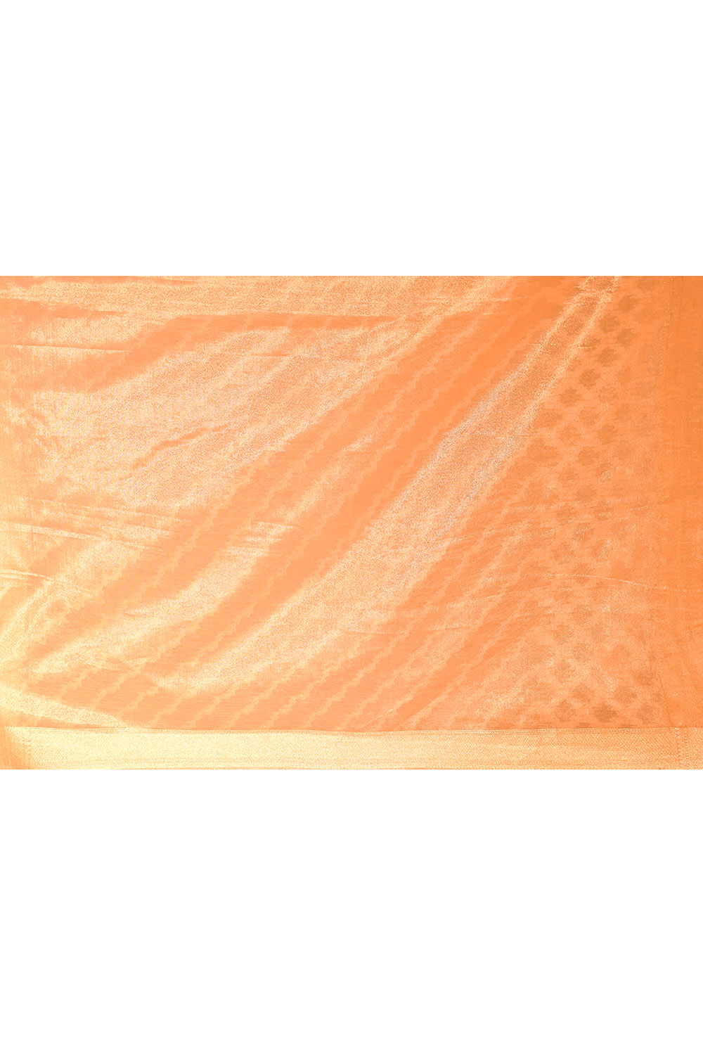 Tussar Beige Gold Banarasi Tissue Handloom Saree Tussar Beige Gold Banarasi Tissue Handloom Saree