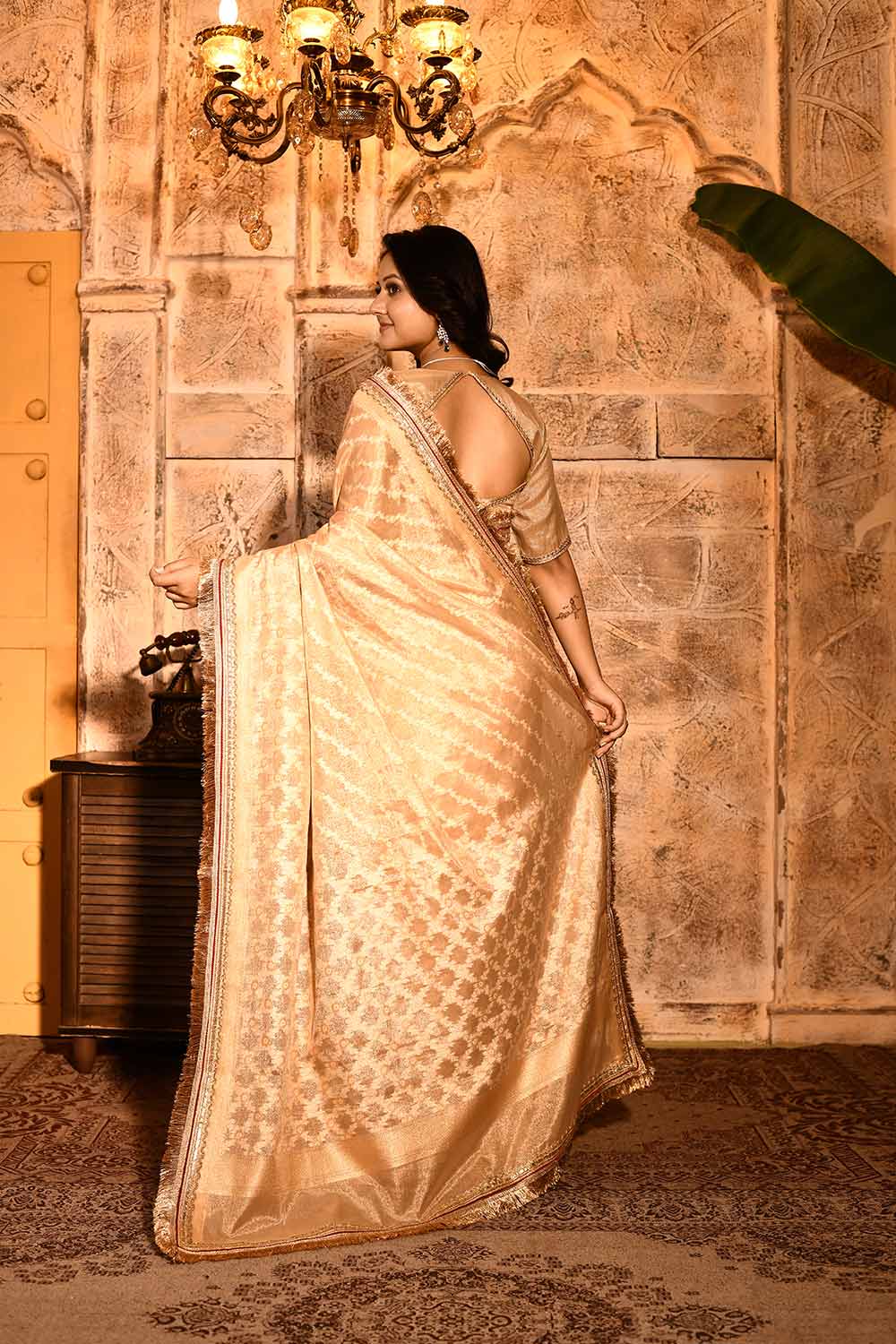 Tussar Beige Gold Banarasi Tissue Handloom Saree Tussar Beige Gold Banarasi Tissue Handloom Saree