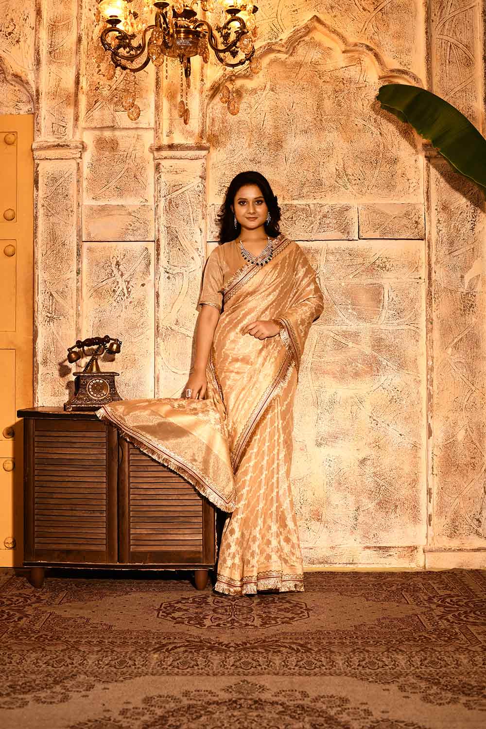 Tussar Beige Gold Banarasi Tissue Handloom Saree Tussar Beige Gold Banarasi Tissue Handloom Saree
