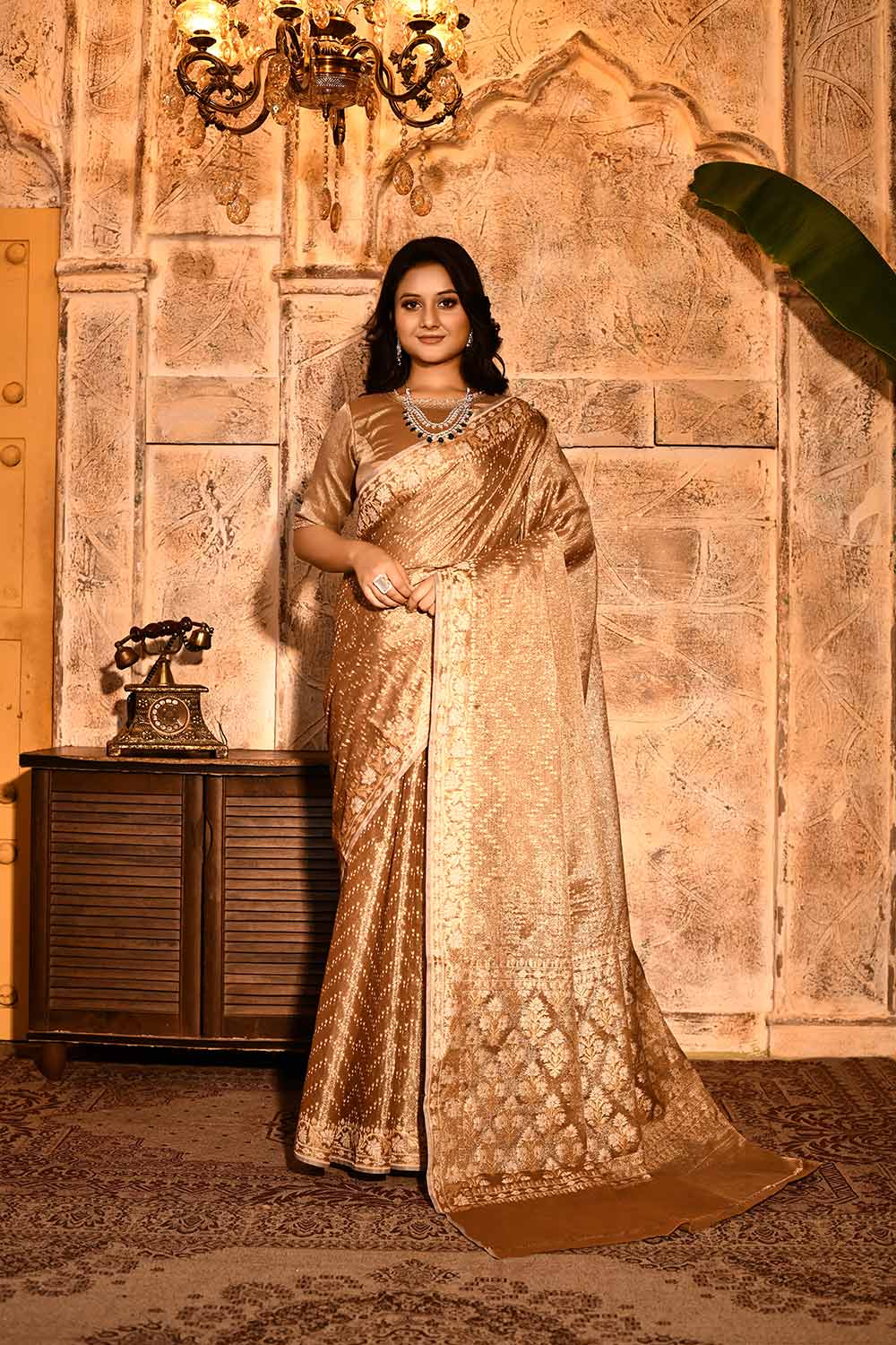Metallic Banarasi Tissue Handloom Saree Metallic Banarasi Tissue Handloom Saree