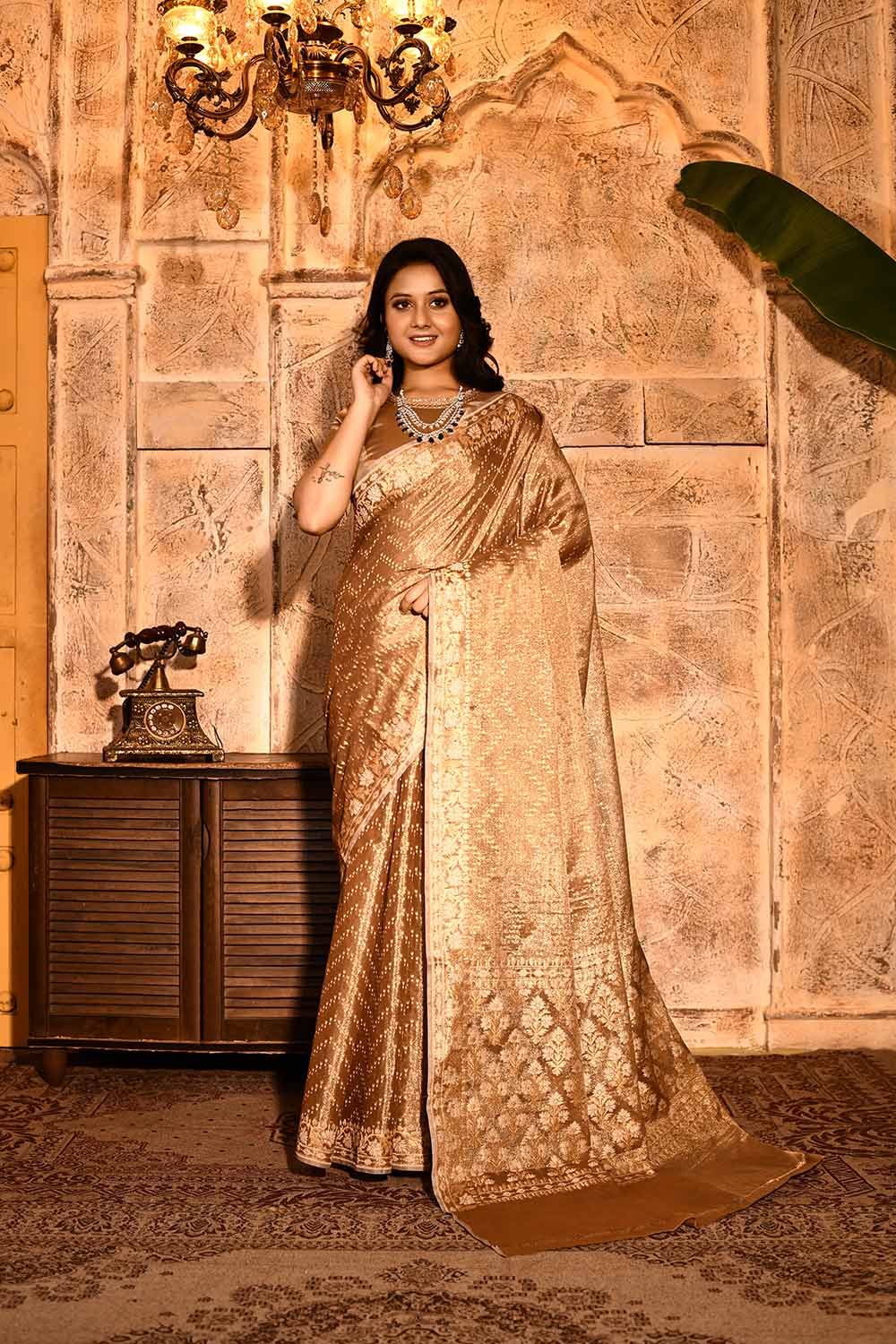 Metallic Banarasi Tissue Handloom Saree Metallic Banarasi Tissue Handloom Saree