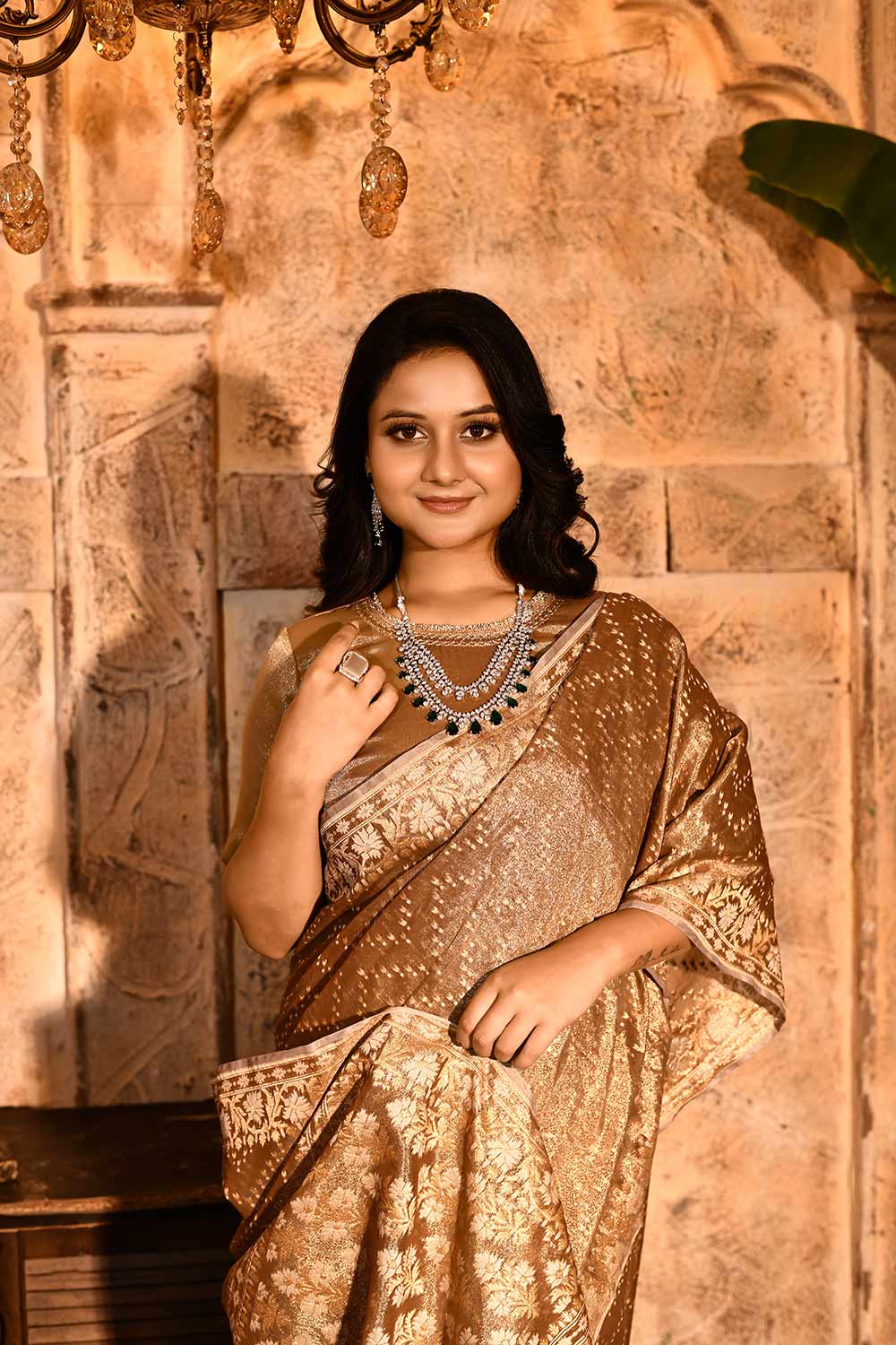 Metallic Banarasi Tissue Handloom Saree Metallic Banarasi Tissue Handloom Saree