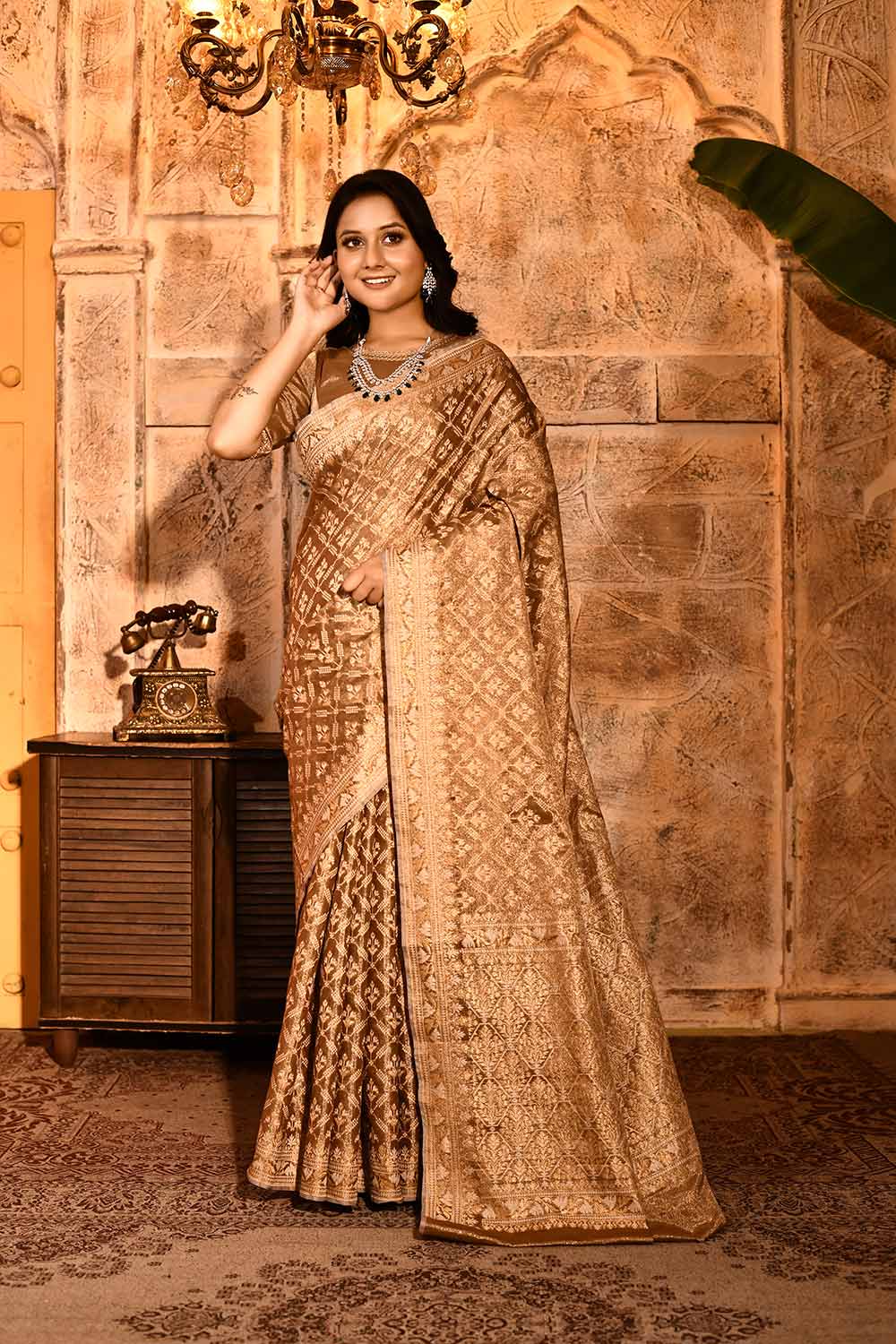 Metallic Banarasi Tissue Handloom Saree Metallic Banarasi Tissue Handloom Saree