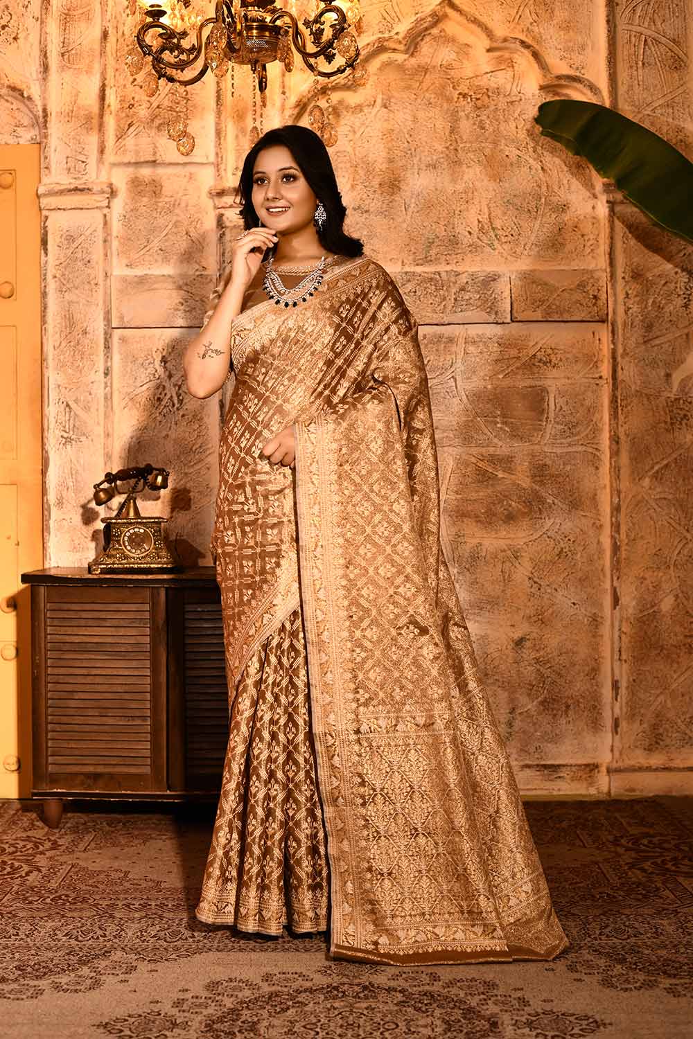 Metallic Banarasi Tissue Handloom Saree Metallic Banarasi Tissue Handloom Saree