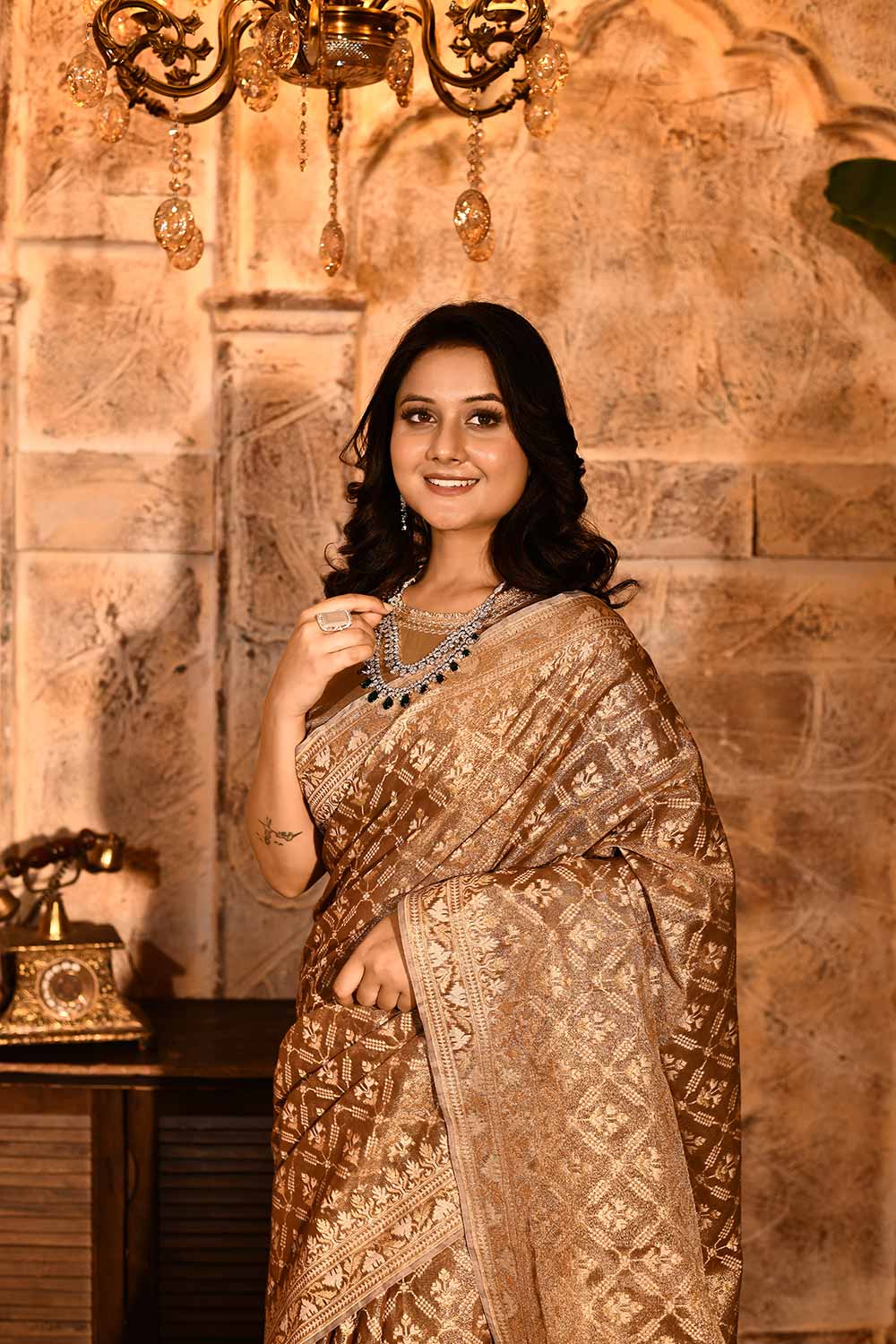 Metallic Banarasi Tissue Handloom Saree Metallic Banarasi Tissue Handloom Saree