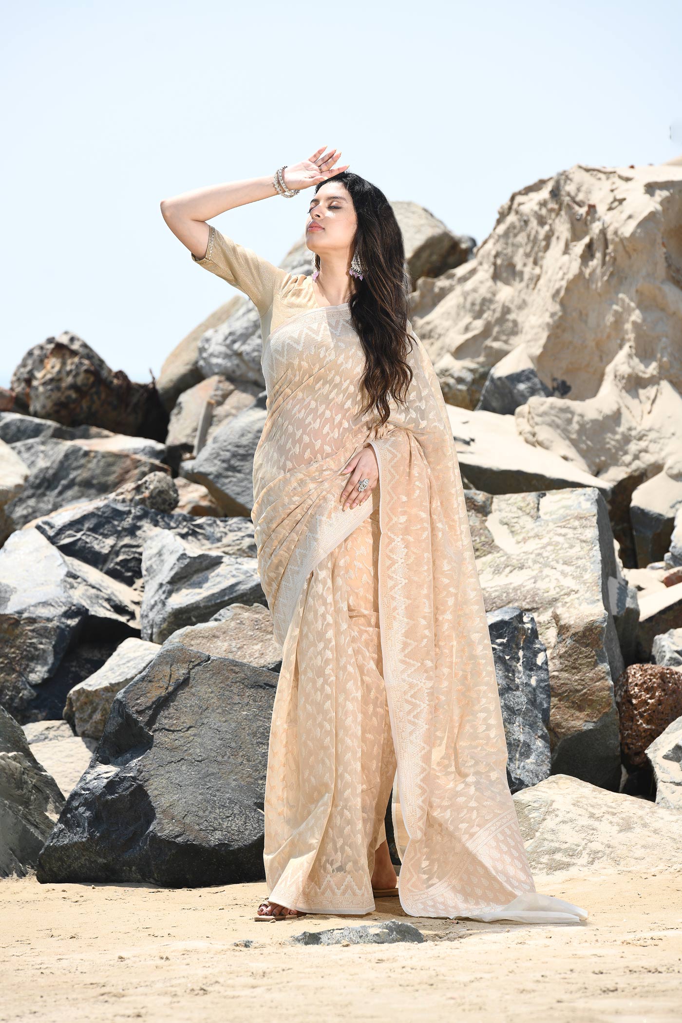 'Mehfil-e-Rang' Beige Tussar Pure Resham Cotton Silk Banarasi Handloom Saree 'Mehfil-e-Rang' Beige Tussar Pure Resham Cotton Silk Banarasi Handloom Saree