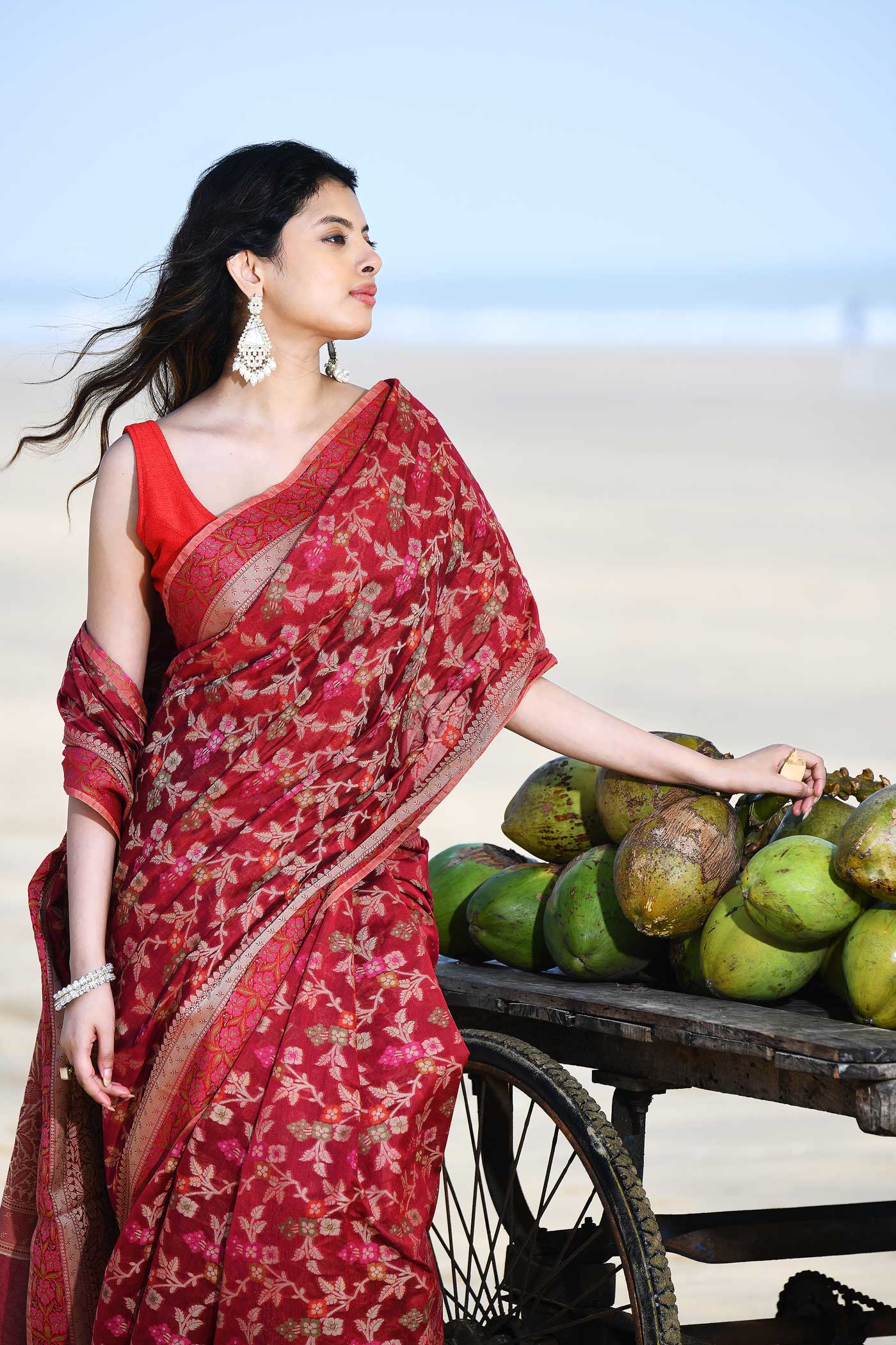 'Gulnaar' Garnet Red Pure Resham Cotton Alfi Jaal Tilfi Border Banarasi Handloom Saree 'Gulnaar' Garnet Red Pure Resham Cotton Alfi Jaal Tilfi Border Banarasi Handloom Saree