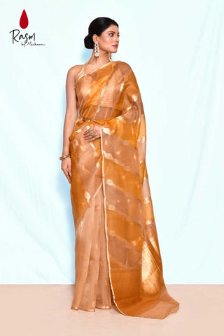 Rangkat Pure Kora Organza Banarasi Handloom Silk Saree With Modern Contemporary Body