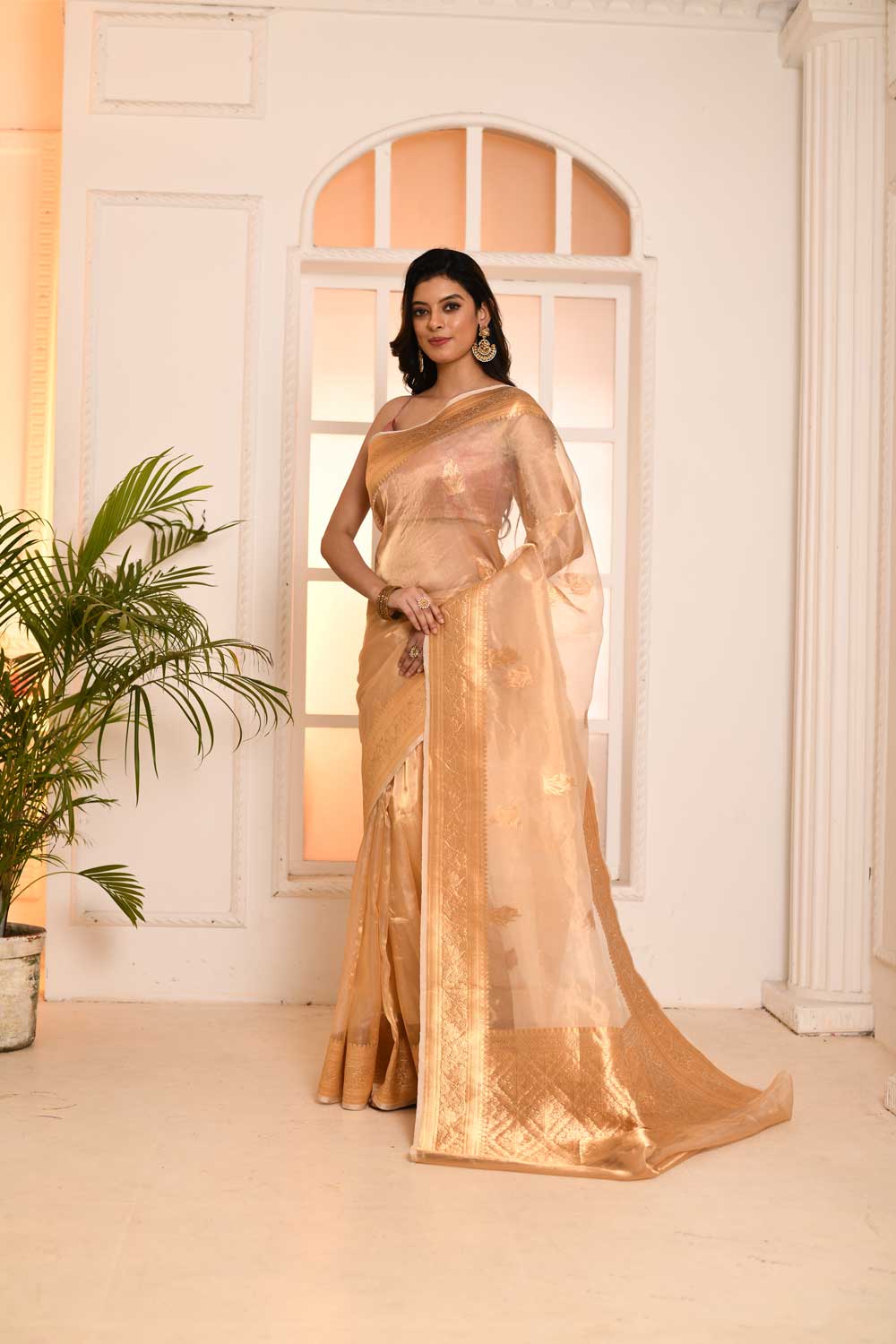 'Gold' Pure Kora Silk Tissue Banarasi Handloom Saree With Kadhua Boota