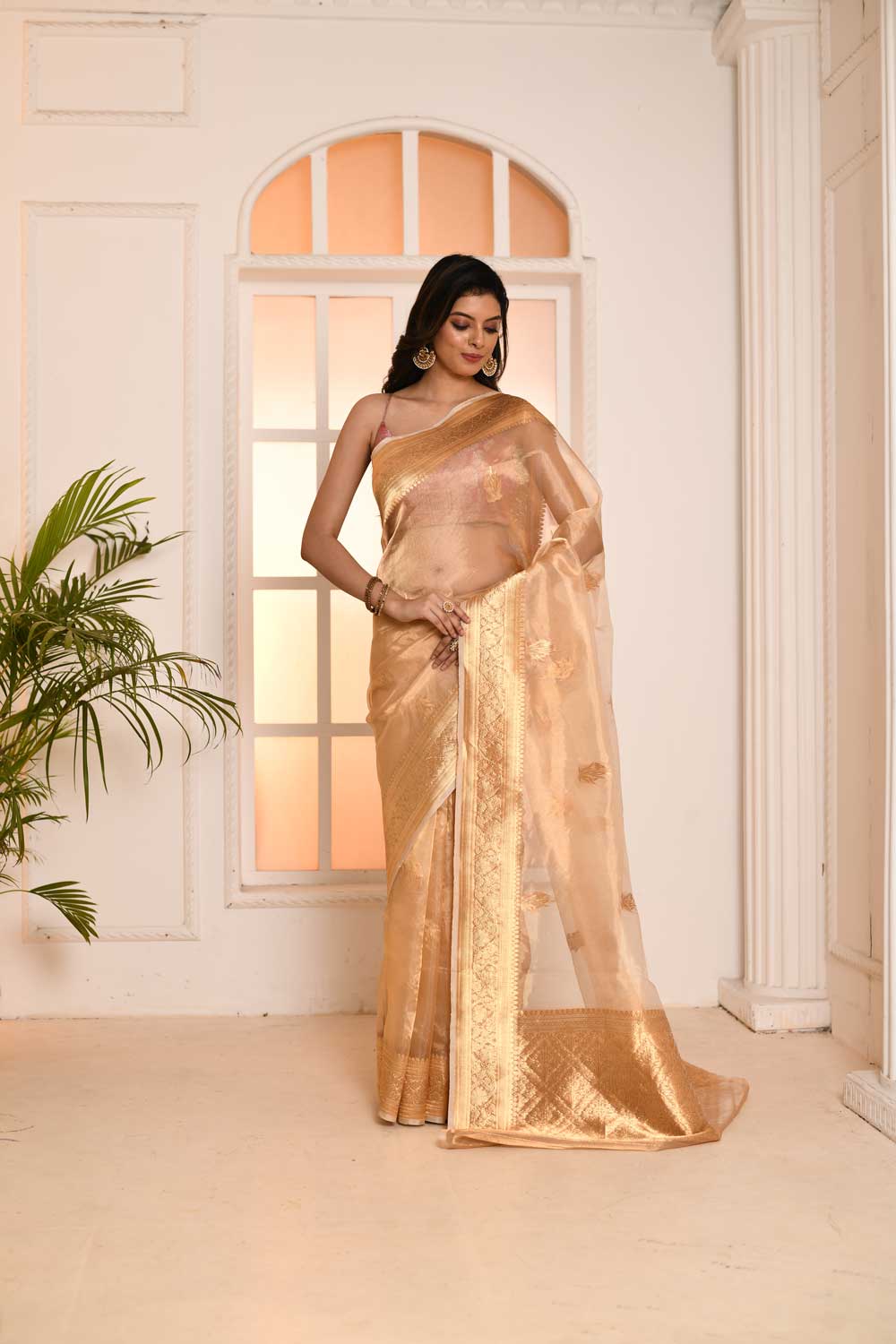 'Gold' Pure Kora Silk Tissue Banarasi Handloom Saree With Kadhua Boota