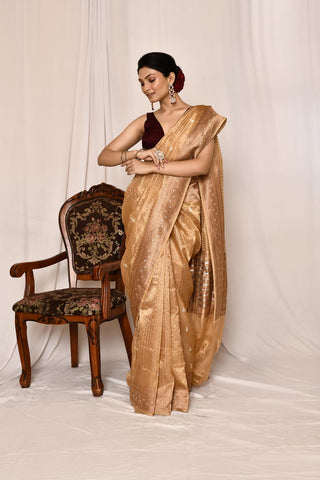 Tussar Gold -Pure Tissue Silk Banarasi Handloom Silk Saree