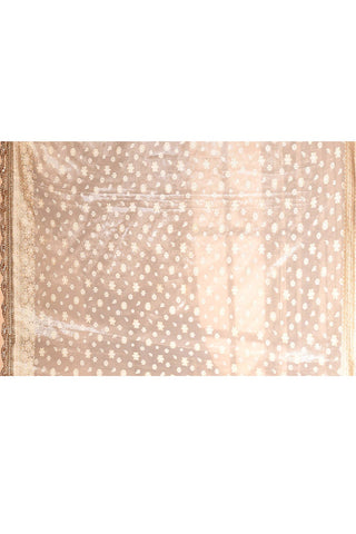 Silver Grey Banarasi Tissue Handloom Sarees