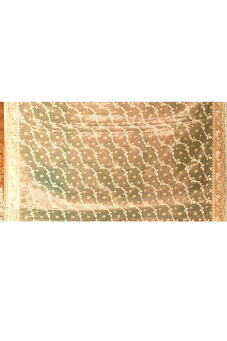 Pastel Blue Banarasi Tissue Handloom Saree