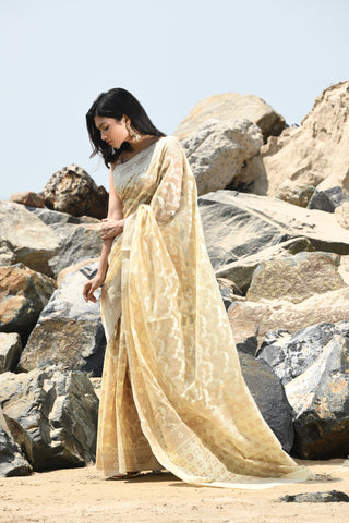 Jash-e-Jal' Tussar Beige Pure Resham Cotton Silk Banarasi Handloom Saree