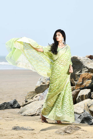 Jash-e-Jal' Pastel Pista Green Pure Resham Cotton Silk Banarasi Handloom Saree