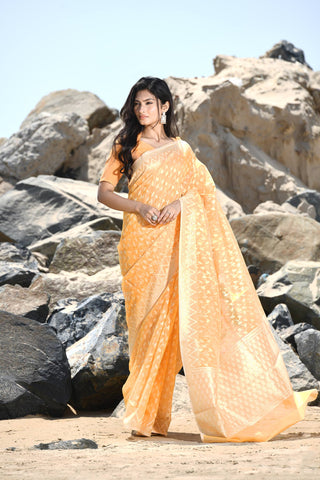 'Mehfil-e-Rang' Orange Pure Resham Cotton Silk Banarasi Handloom Saree