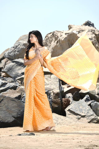 'Mehfil-e-Rang' Orange Pure Resham Cotton Silk Banarasi Handloom Saree