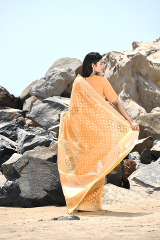 'Mehfil-e-Rang' Orange Pure Resham Cotton Silk Banarasi Handloom Saree